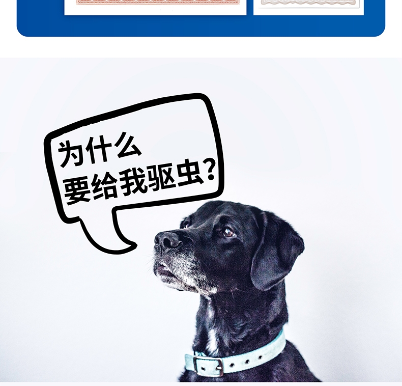 海正动保 海乐宠5mg单粒适用于中大型犬
