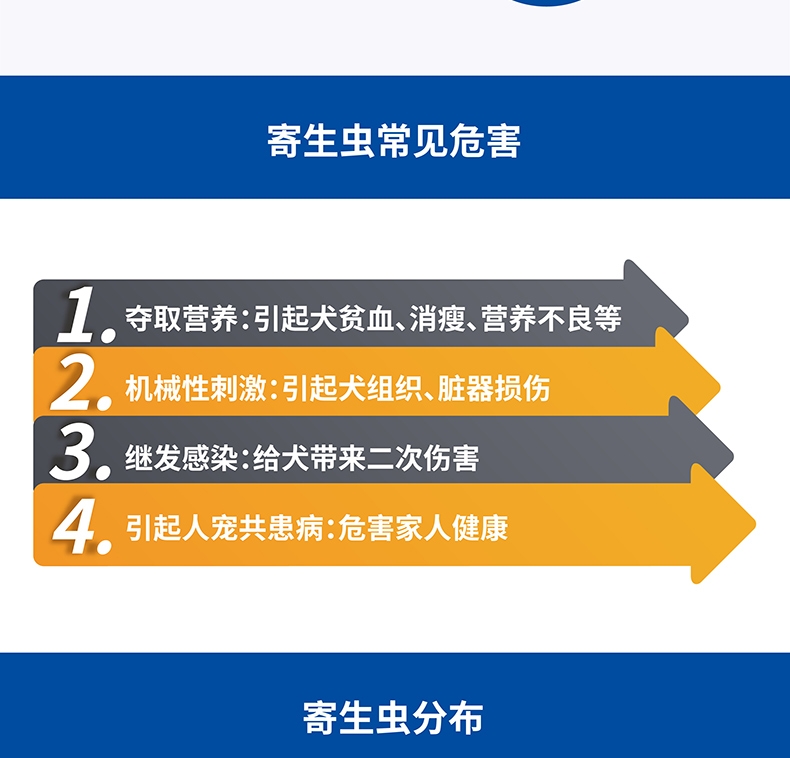 海正动保 海乐宠5mg单粒适用于中大型犬