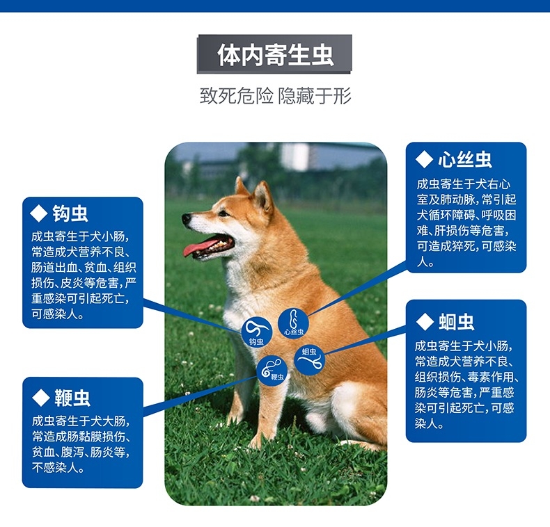 海正动保 海乐宠5mg单粒适用于中大型犬