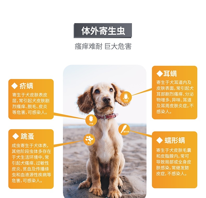 海正动保 海乐宠5mg单粒适用于中大型犬
