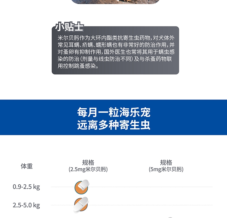 海正动保 海乐宠5mg单粒适用于中大型犬