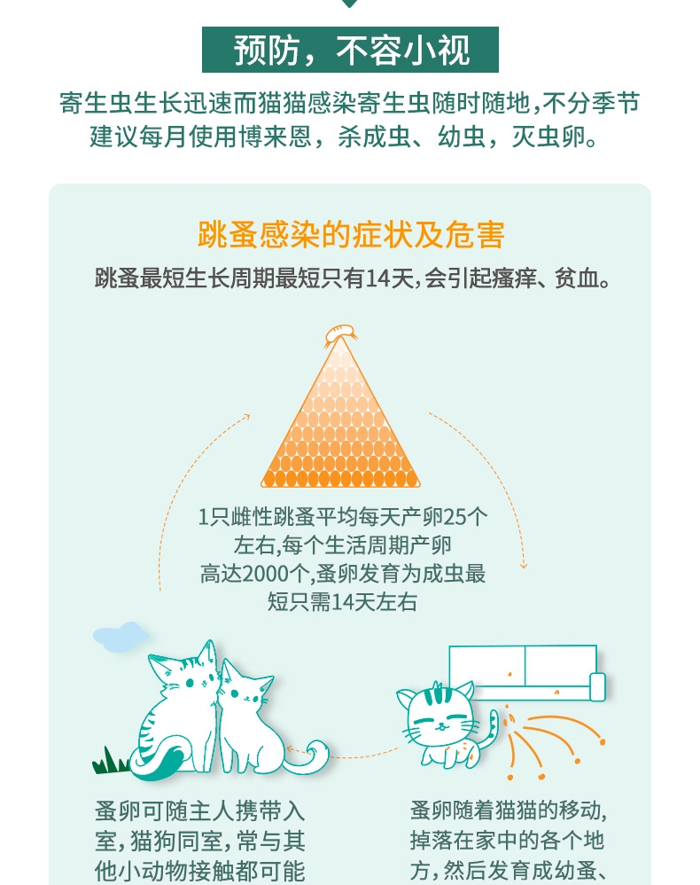 博来恩Broadline 猫用驱虫滴剂 内外同驱 中大型猫(2.5-7.5kg) 3支/3个月剂量 法国进口