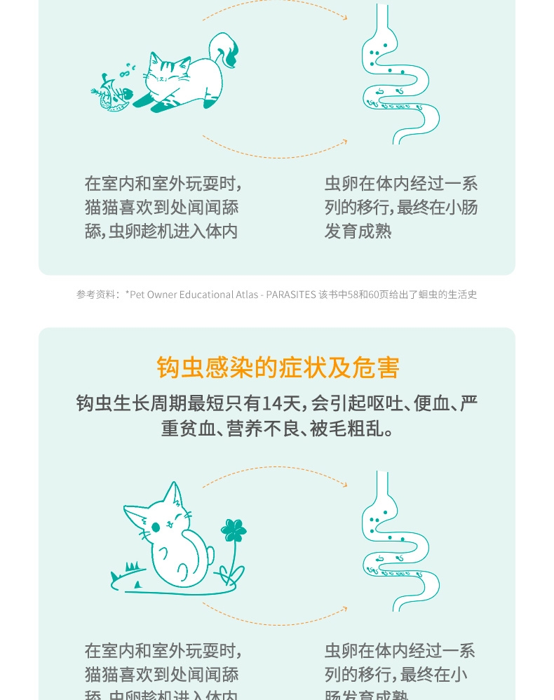 博来恩Broadline 猫用驱虫滴剂 内外同驱 中大型猫(2.5-7.5kg) 3支/3个月剂量 法国进口
