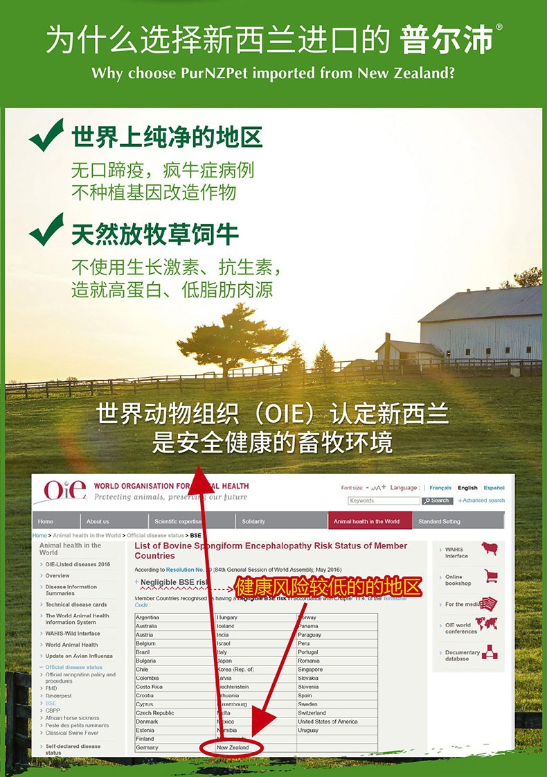 普尔沛 牛肝牛肉狗罐头成犬主食罐 375g 新西兰原装进口