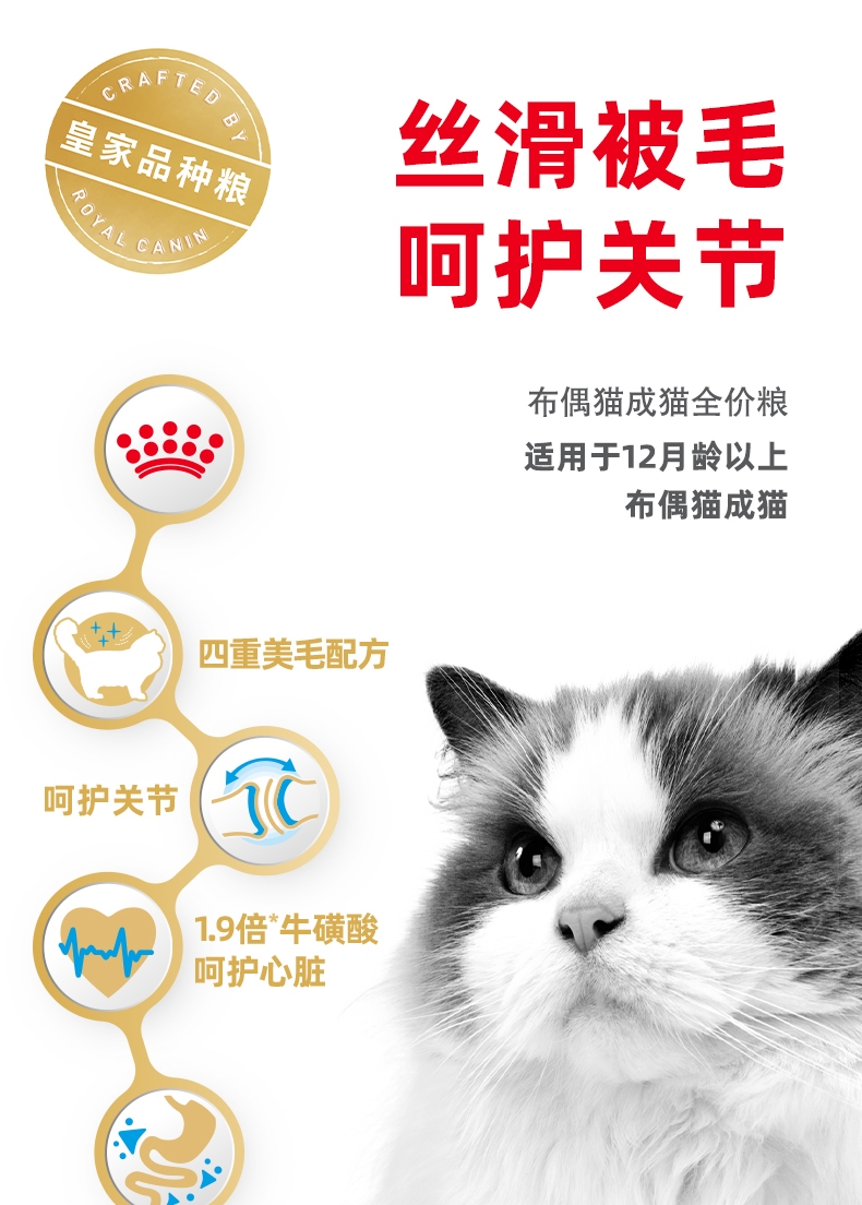 法国皇家Royal Canin 布偶猫成猫粮全价猫粮 10kg RA32
