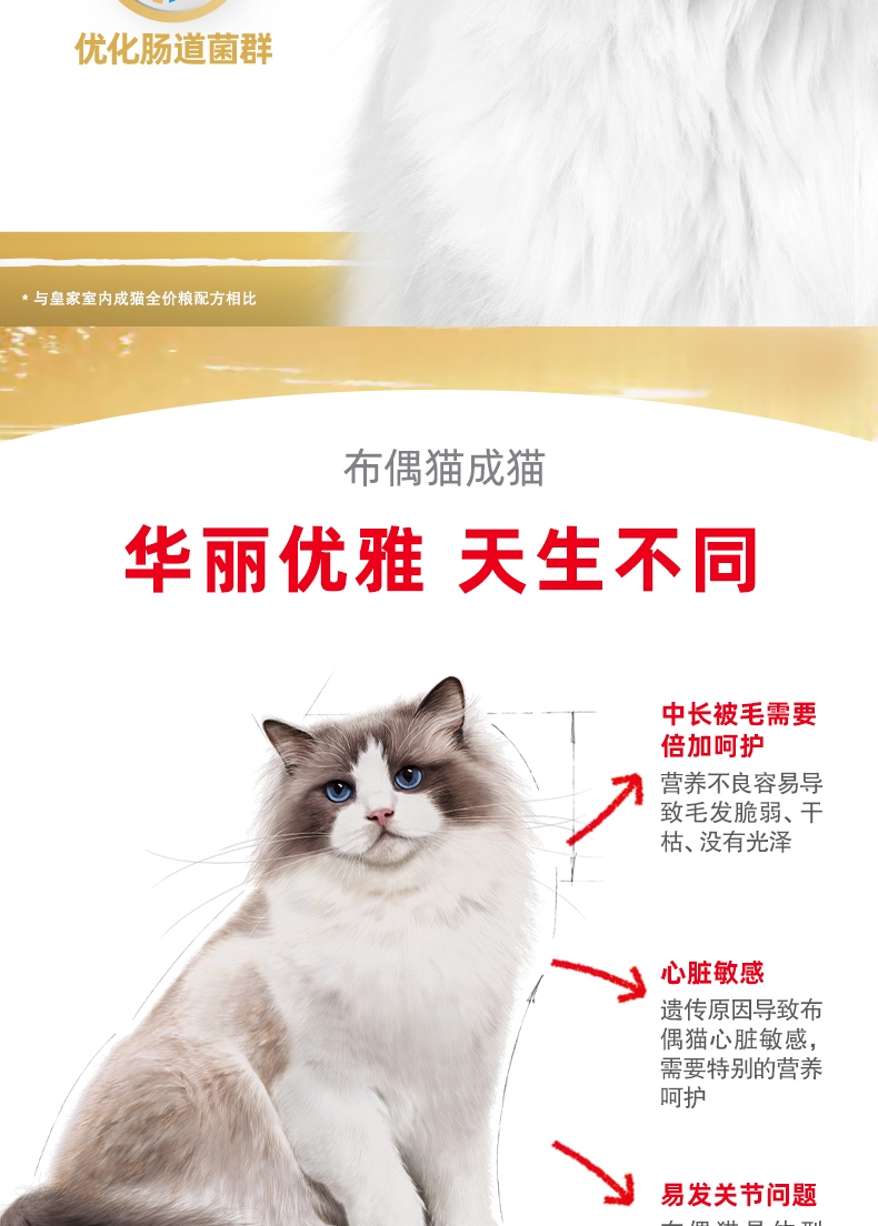法国皇家Royal Canin 布偶猫成猫粮全价猫粮 10kg RA32