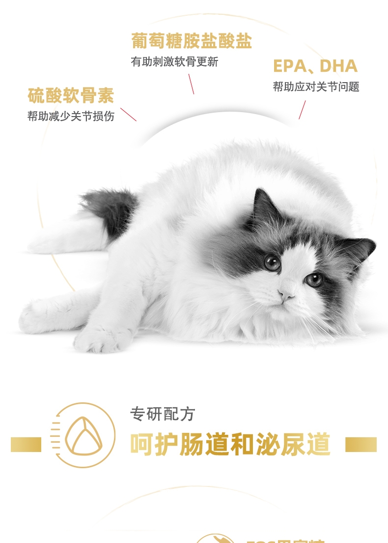 法国皇家Royal Canin 布偶猫成猫粮全价猫粮 10kg RA32