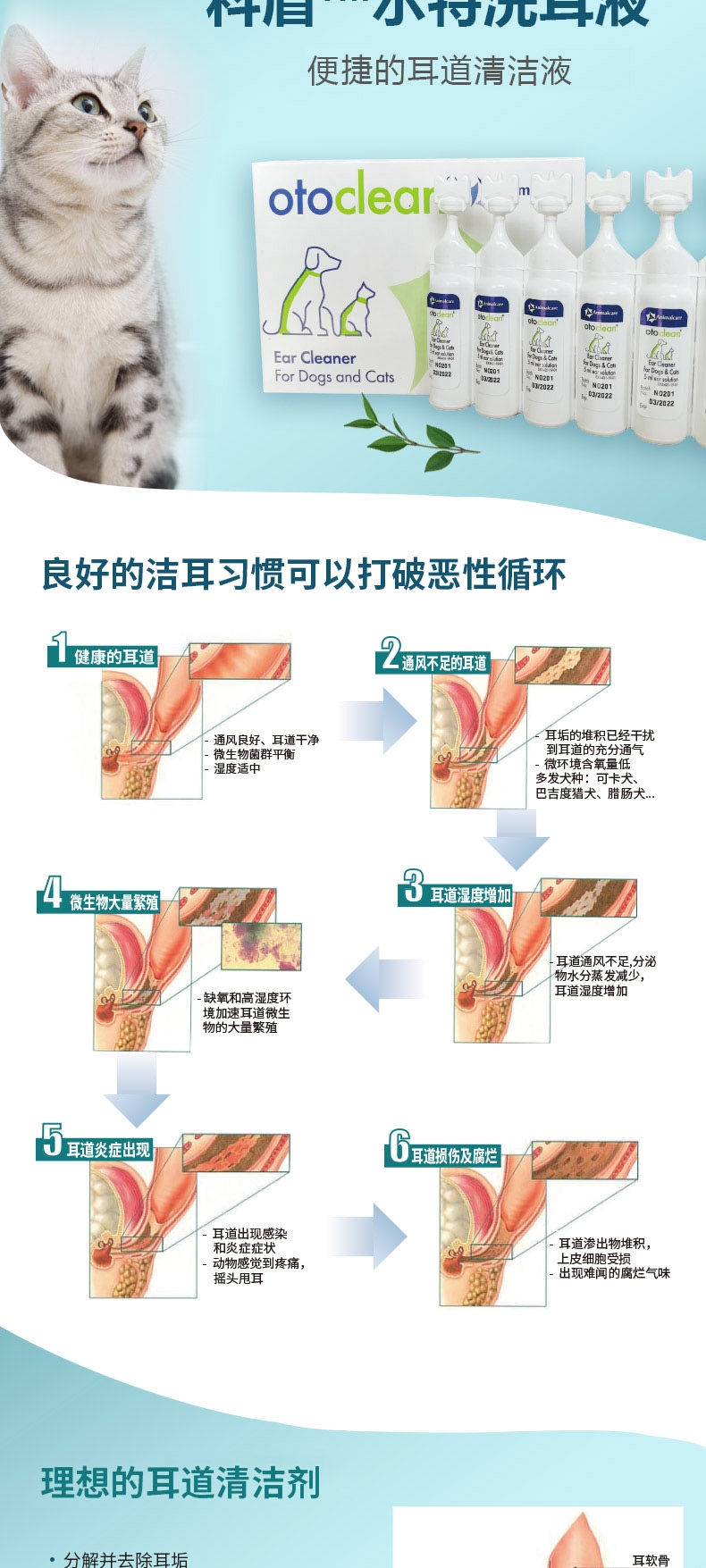 科盾 尔特洗耳液 18*5ml 犬猫通用 清洁护理 比利时原装进口