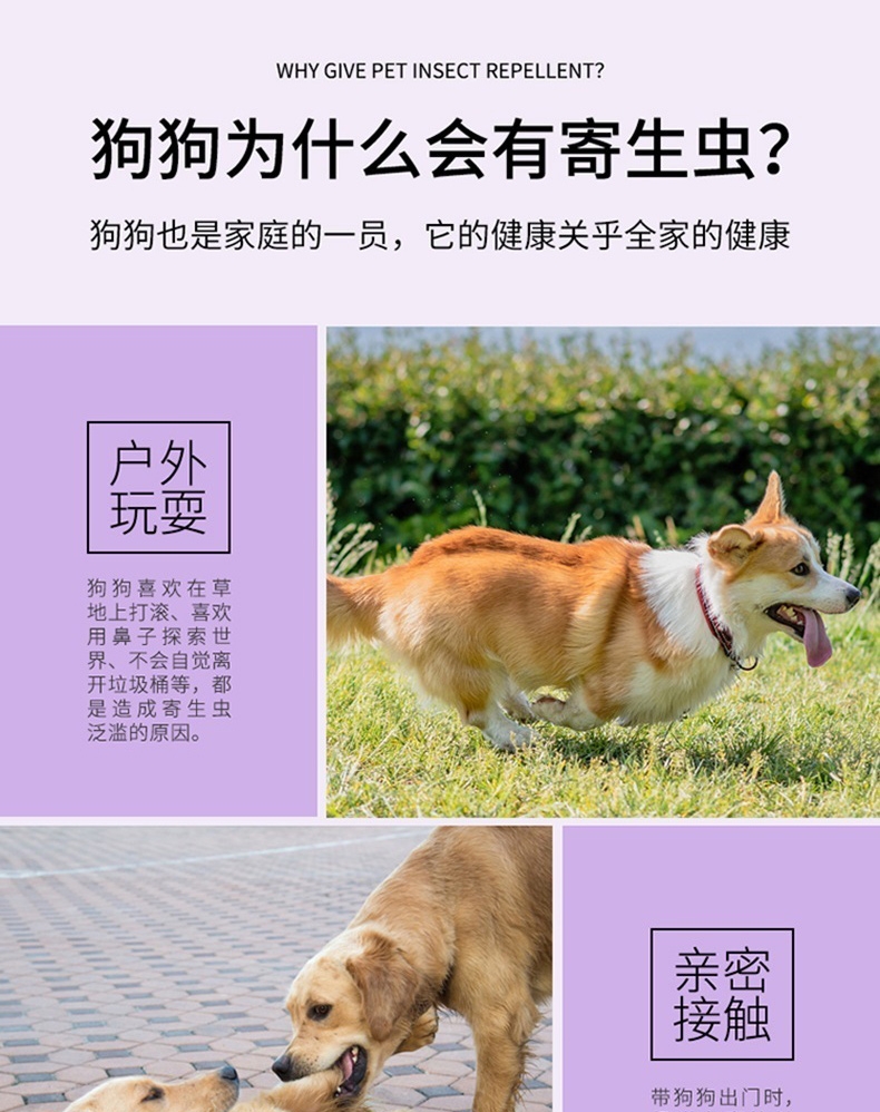 小可宠药 小可滴剂 1.02ml/支 体重3kg-15kg犬用 体外驱虫体外驱虫