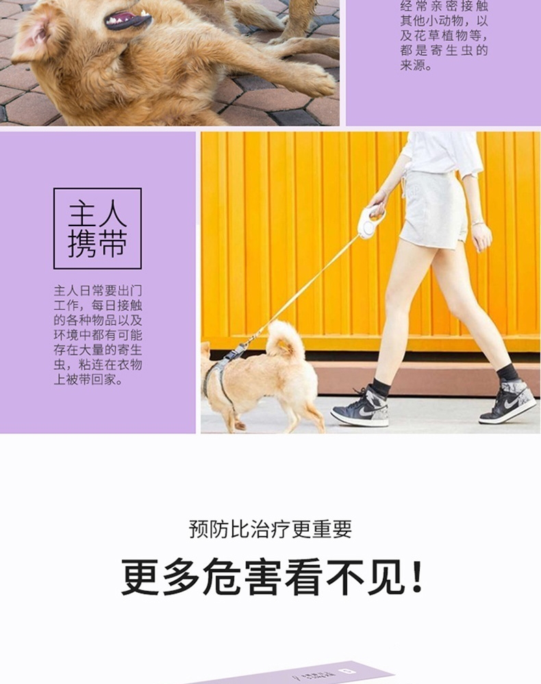 小可宠药 小可滴剂 1.02ml/支 体重3kg-15kg犬用 体外驱虫体外驱虫