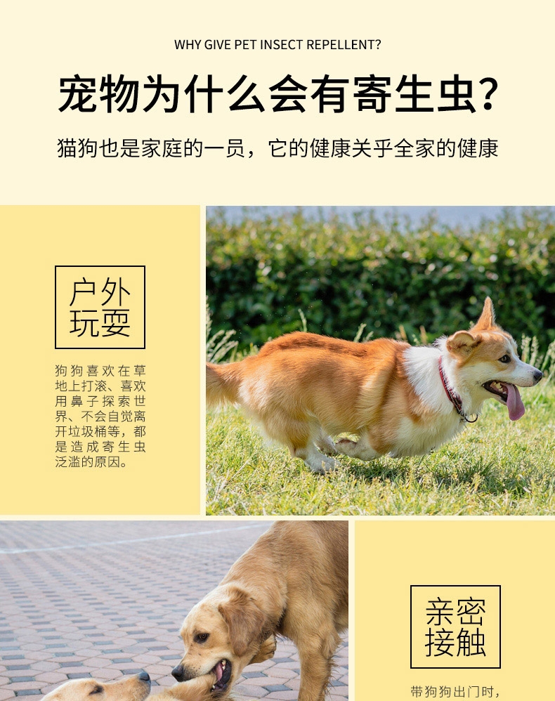 小可宠药 小可滴剂 0.45ml/支 1-3kg 幼犬幼猫适用