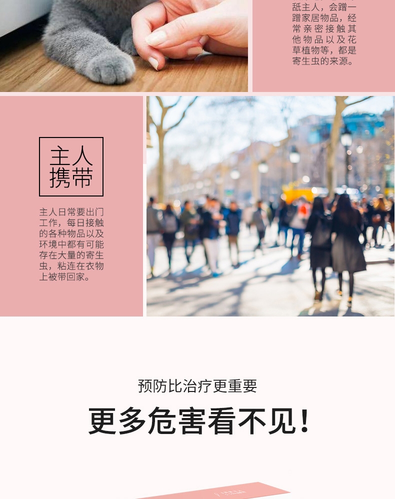 小可宠药 小可滴剂 0.8ml/支 体重≥3kg猫用 体外驱虫