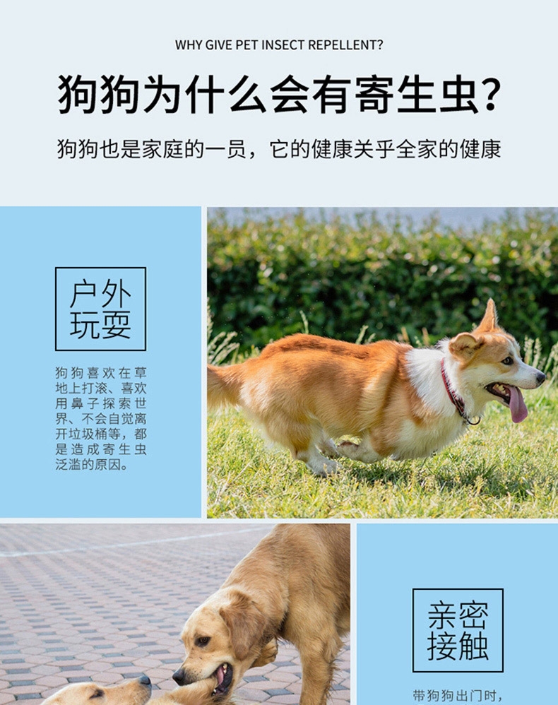 小可宠药 小可滴剂 2.04ml/3支 体重15kg-30kg犬用 体外驱虫