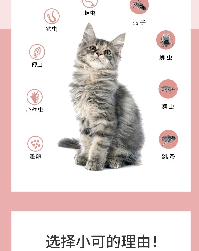 小可宠药 驱虫滴剂 0.8ml/3支 8周龄以上≥3kg猫用