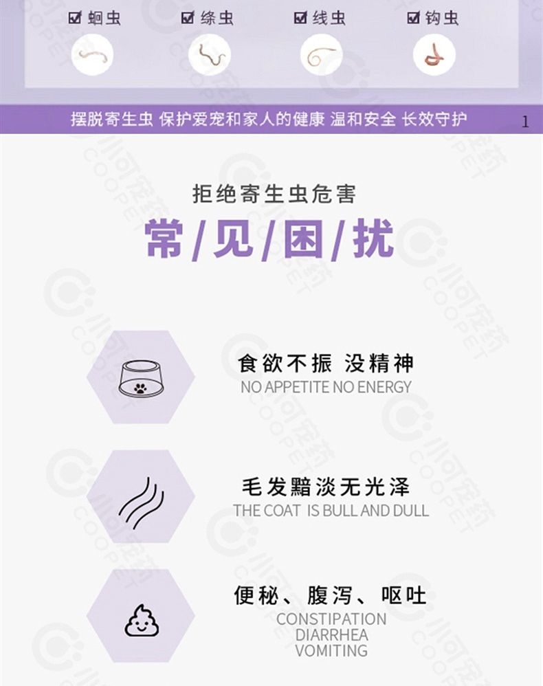 小可宠药 芬苯达唑片犬猫体内驱虫药 6片/盒 用于驱蛔虫,线虫,绦虫