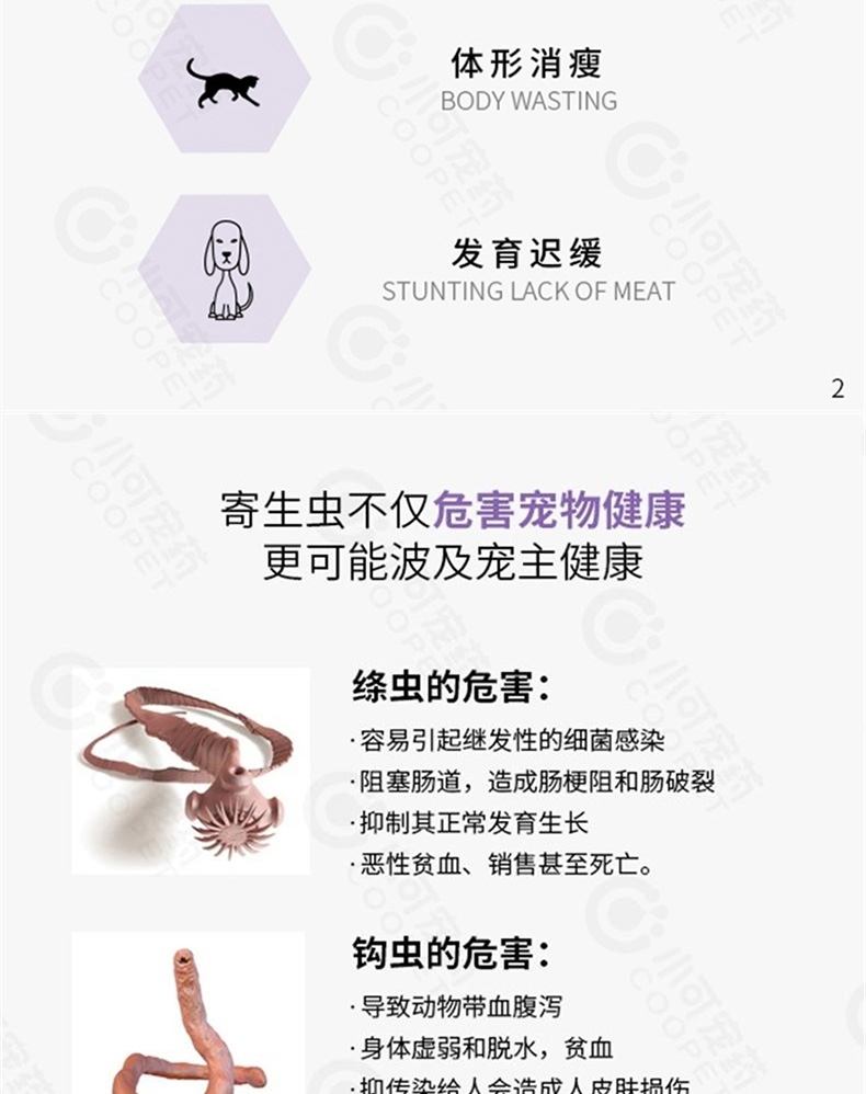 小可宠药 芬苯达唑片犬猫体内驱虫药 6片/盒 用于驱蛔虫,线虫,绦虫