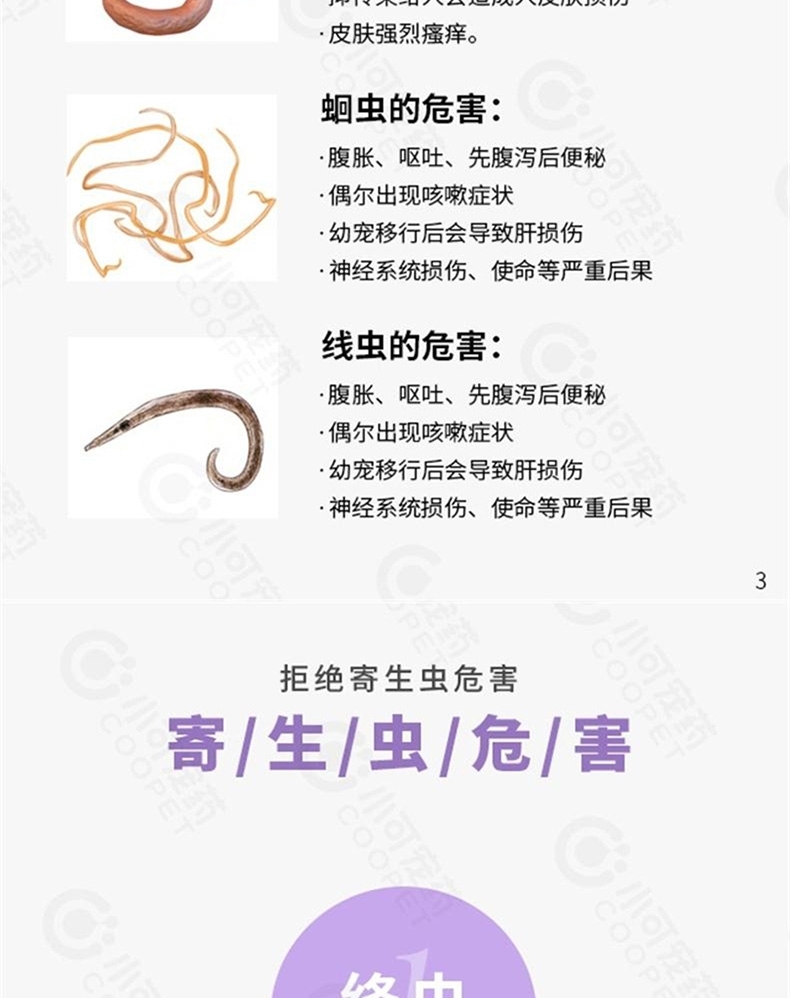 小可宠药 芬苯达唑片犬猫体内驱虫药 6片/盒 用于驱蛔虫,线虫,绦虫