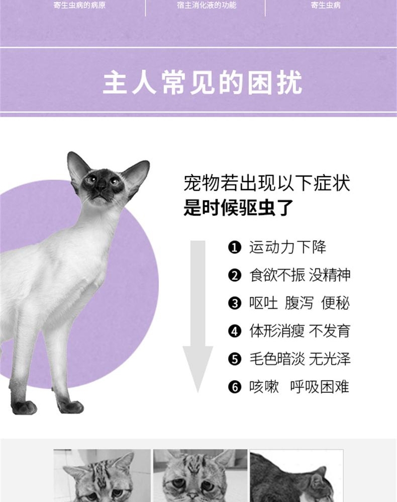 小可宠药吡喹酮片6片/盒