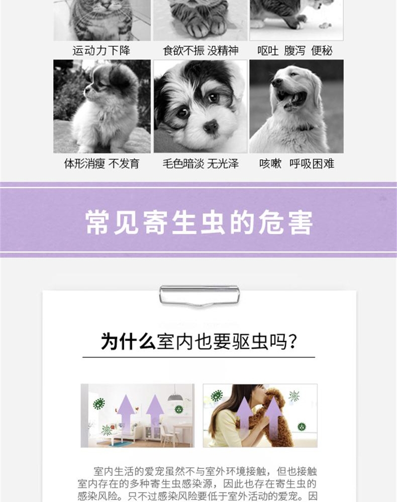 小可宠药吡喹酮片6片/盒