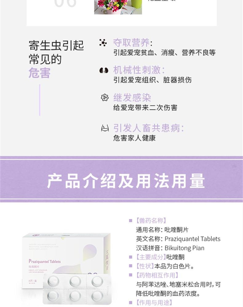 小可宠药吡喹酮片6片/盒