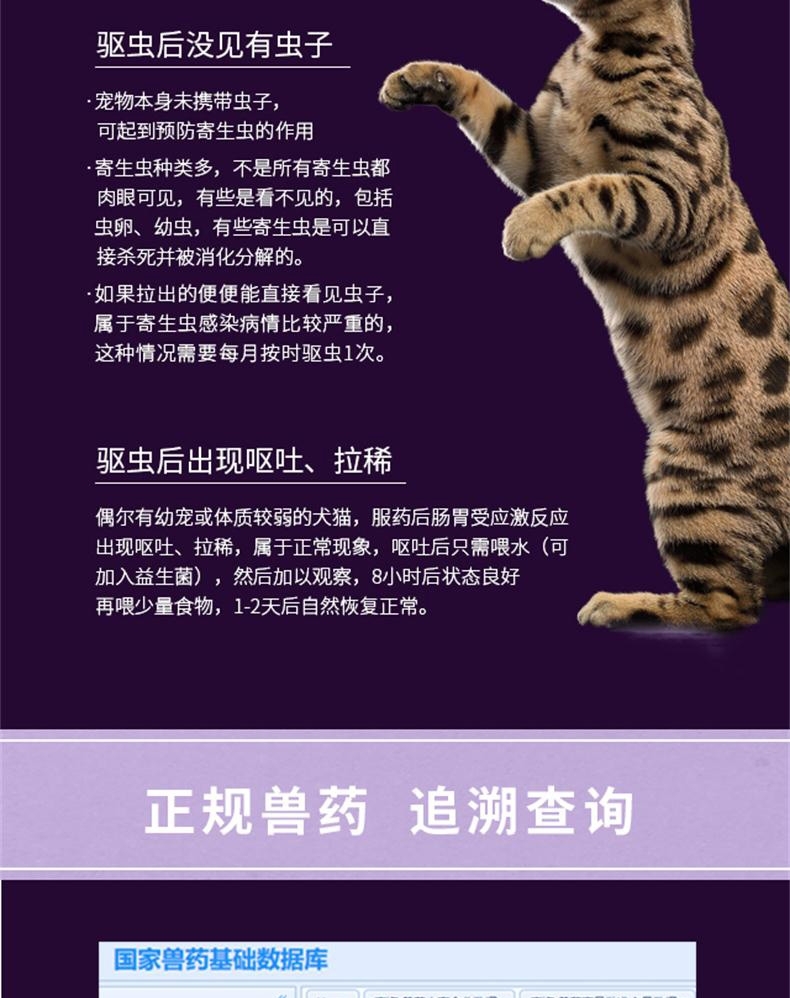 小可宠药吡喹酮片6片/盒