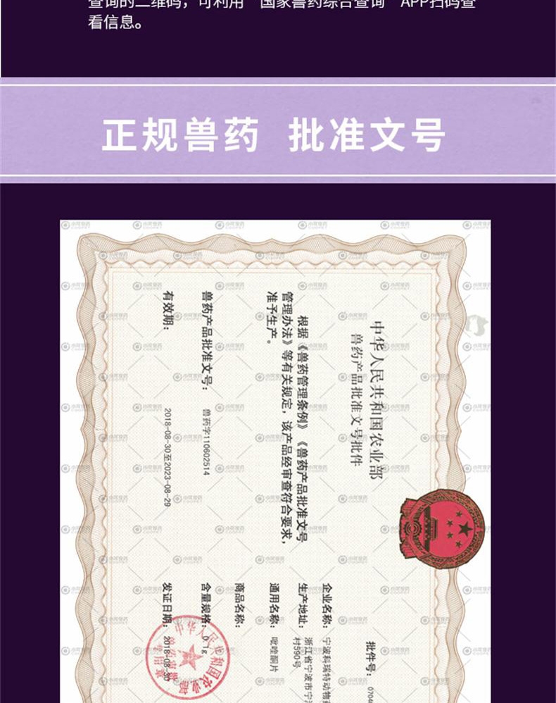 小可宠药吡喹酮片6片/盒