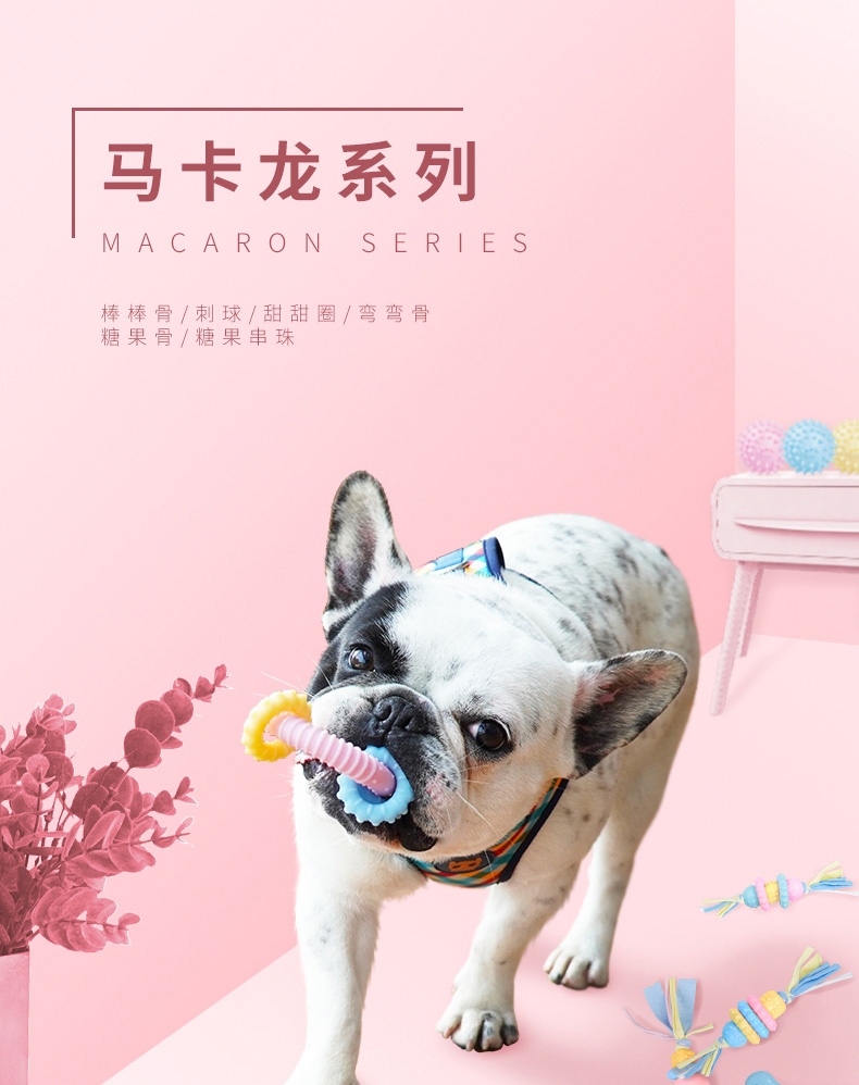 源飞 宠物玩具棒棒骨磨牙棒 狗玩具
