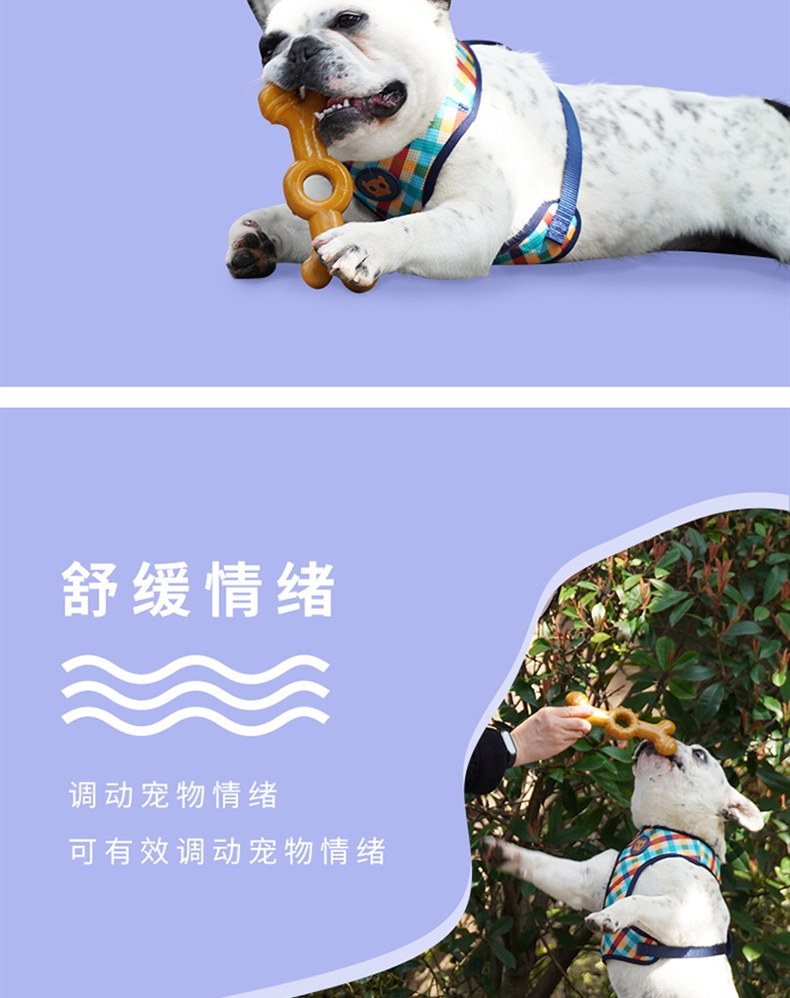 源飞 宠物玩具好味道磨牙骨 狗磨牙玩具