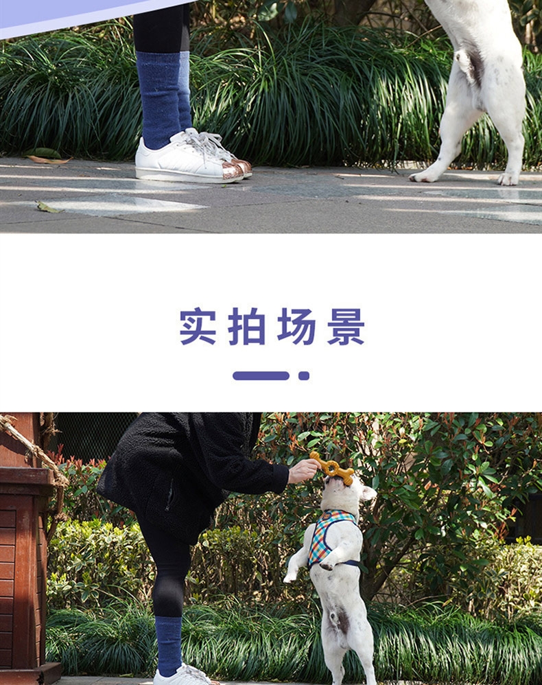 源飞 宠物玩具好味道磨牙骨 狗磨牙玩具