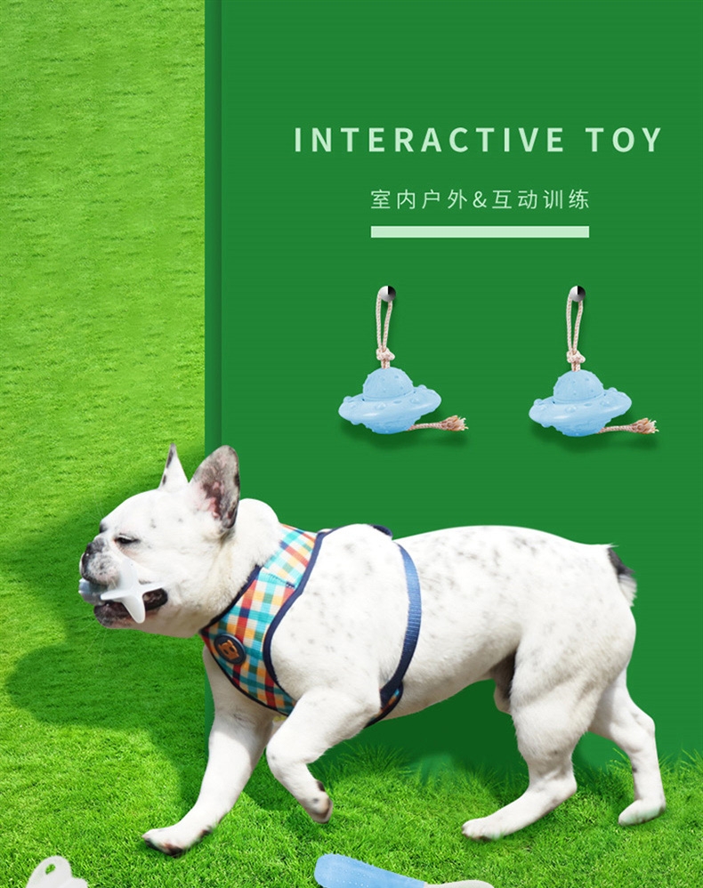 源飞 UFO互动球 狗磨牙玩具