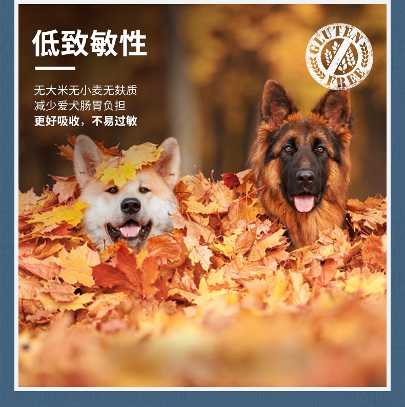 意大利梦吉Monge 单一蛋白兔肉肉泥 无谷成犬主粮罐 150g*6罐 狗湿粮