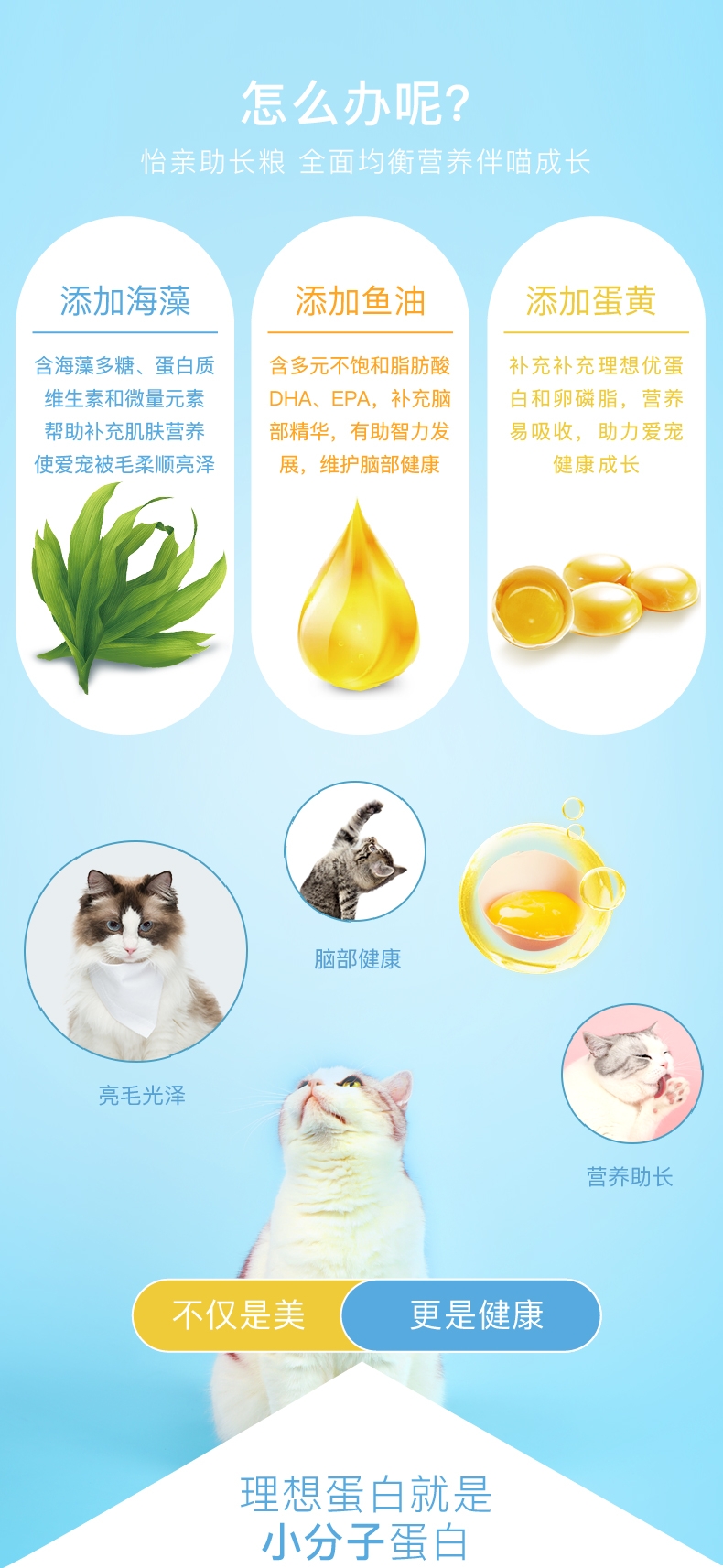 怡亲 鸡肉鳕鱼味成猫粮 2kg
