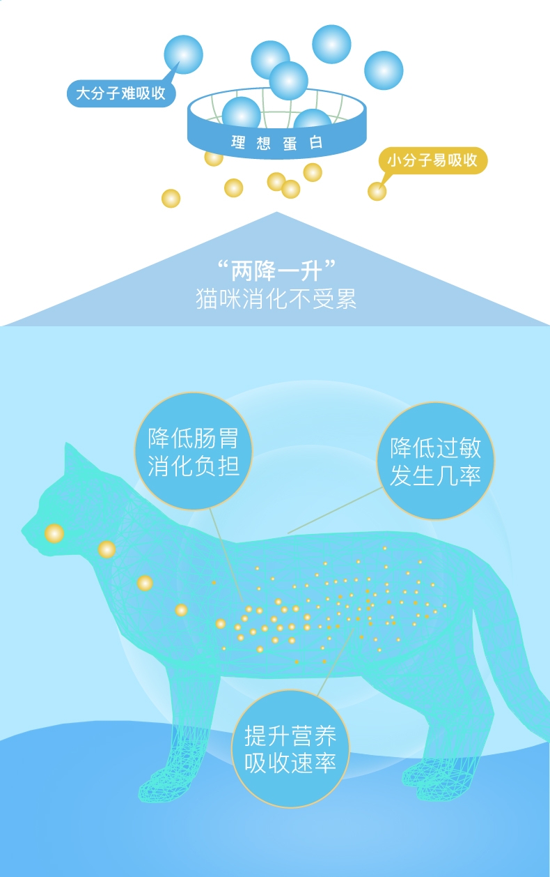怡亲 鸡肉鳕鱼味成猫粮 2kg