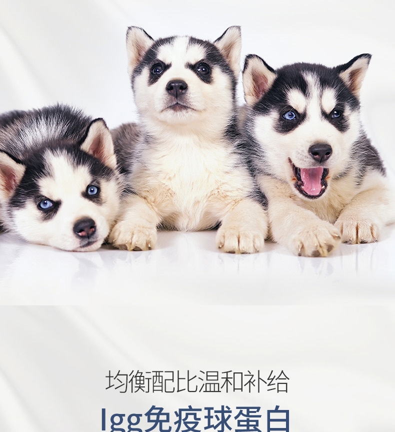 MAG高蛋白初乳幼犬羊奶粉 10g*20袋 33%高蛋白