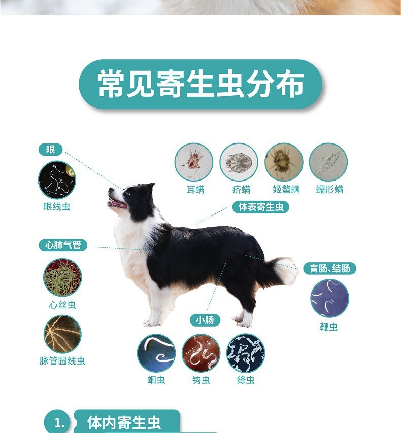 海正动保海乐旺大号137.5mg25kg/10片装