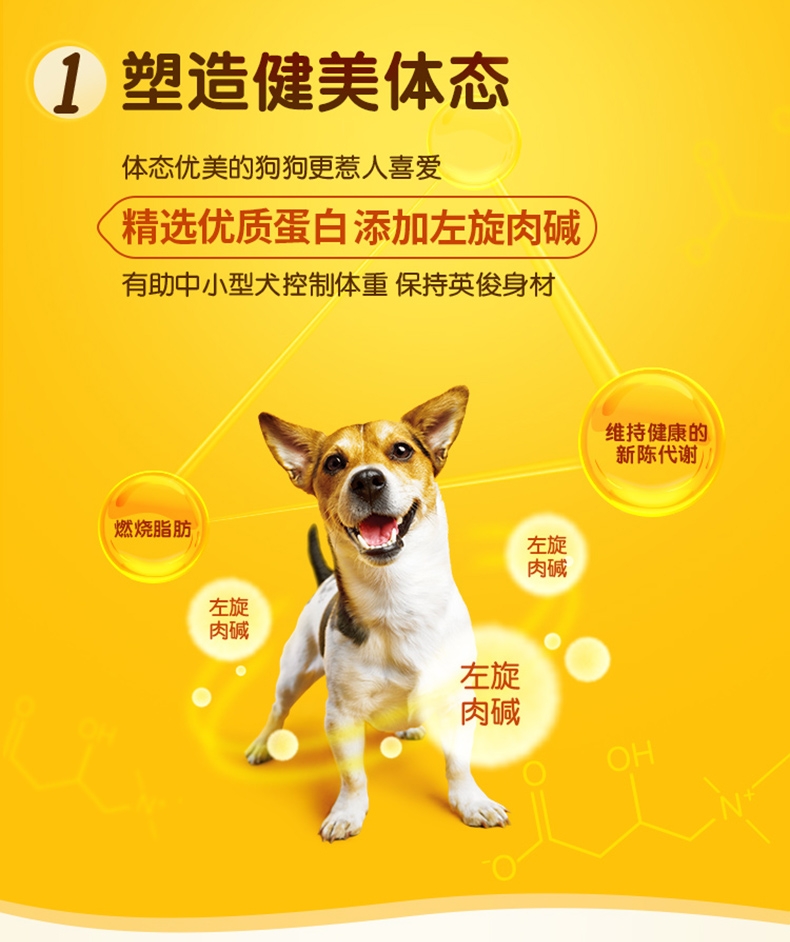 宝路 干粮成犬中小型犬海洋鱼口味 7.5kg 控制体重 促进毛发健康