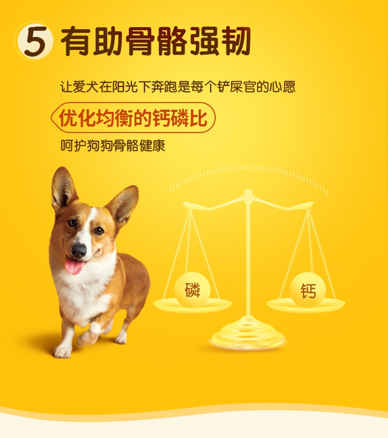 宝路 干粮成犬中小型犬海洋鱼口味 7.5kg 控制体重 促进毛发健康