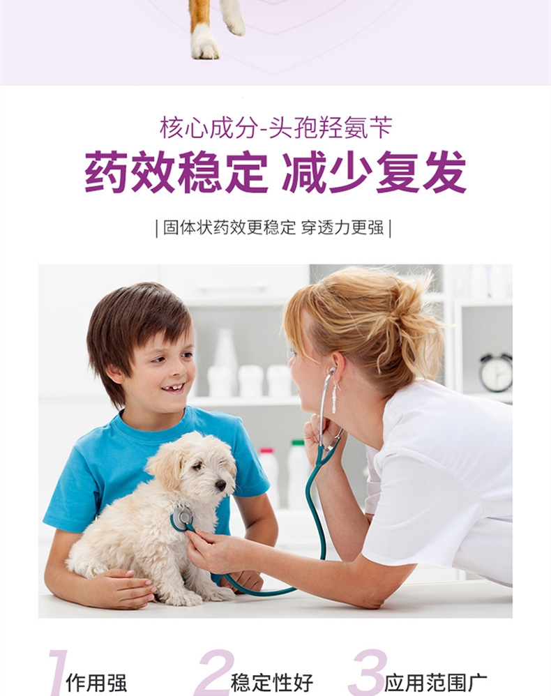 雷米高先乐欣头孢羟氨苄片7片