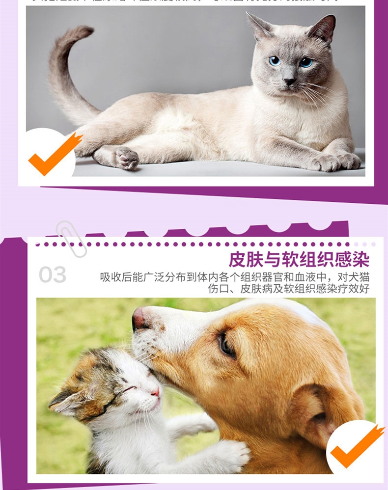 雷米高先乐欣头孢羟氨苄片7片