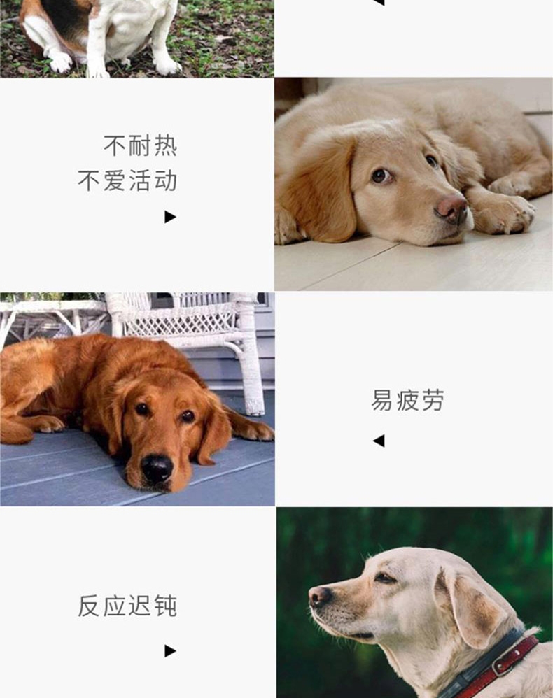 德国俊宝 俊汪精典系列活力狗营养膏50g