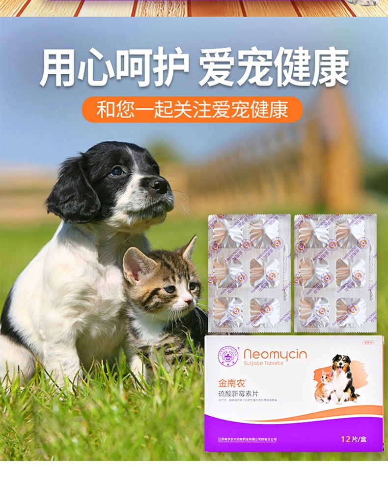 金南农 硫酸新霉素片 12片/盒 修复肠道 急性腹泻腹痛 生肉细菌感染 犬猫通用