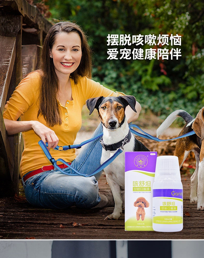 金南农 咳舒坦甘胆口服液100ml 咳嗽咳喘打喷嚏 犬猫通用