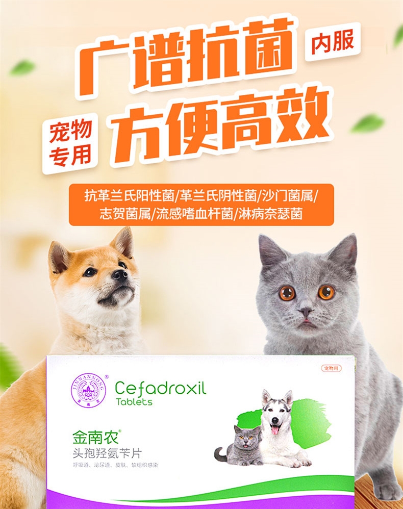 金南农 犬猫通用 感染泌尿/眼部/口腔/感冒/皮肤感染/ 头孢羟氨苄片12片/盒 广谱抗菌