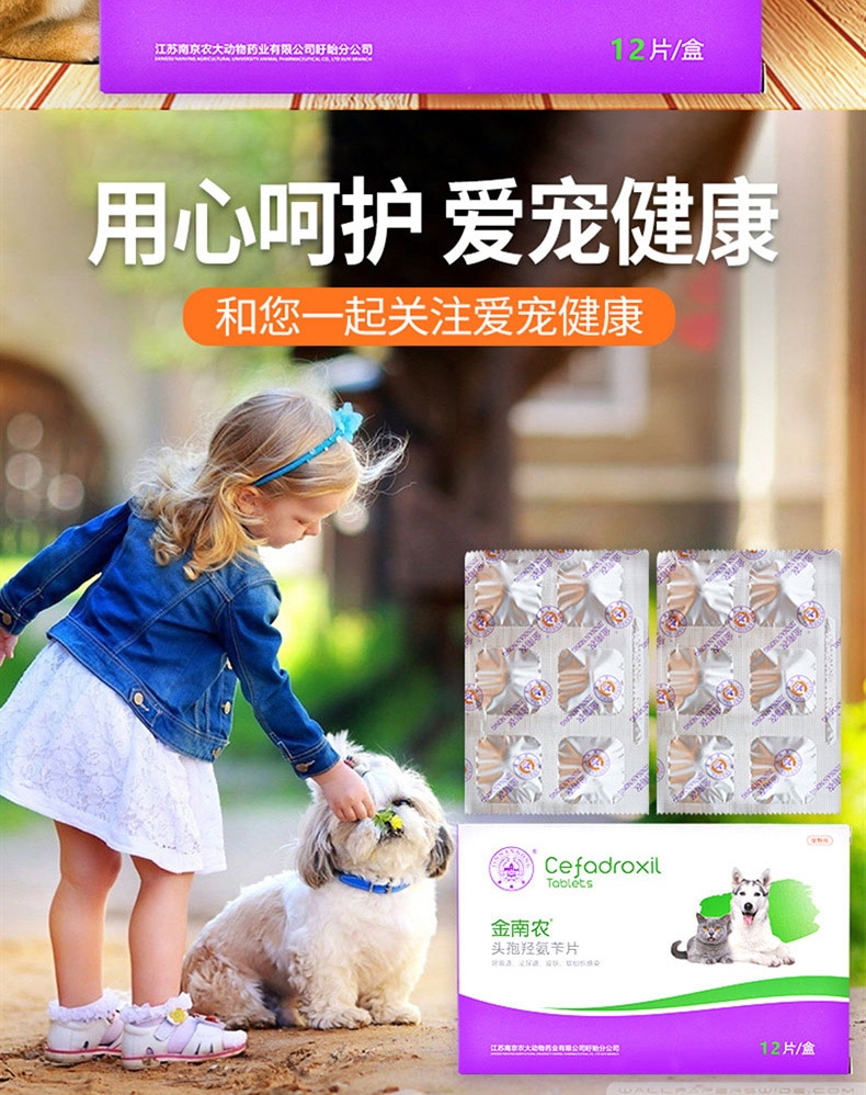 金南农 犬猫通用 感染泌尿/眼部/口腔/感冒/皮肤感染/ 头孢羟氨苄片12片/盒 广谱抗菌