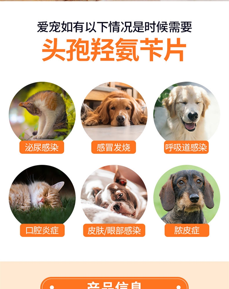 金南农 犬猫通用 感染泌尿/眼部/口腔/感冒/皮肤感染/ 头孢羟氨苄片12片/盒 广谱抗菌