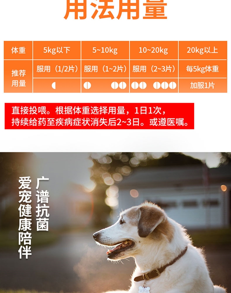 金南农 犬猫通用 感染泌尿/眼部/口腔/感冒/皮肤感染/ 头孢羟氨苄片12片/盒 广谱抗菌