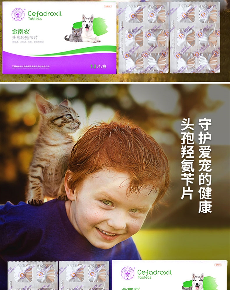 金南农 犬猫通用 感染泌尿/眼部/口腔/感冒/皮肤感染/ 头孢羟氨苄片12片/盒 广谱抗菌