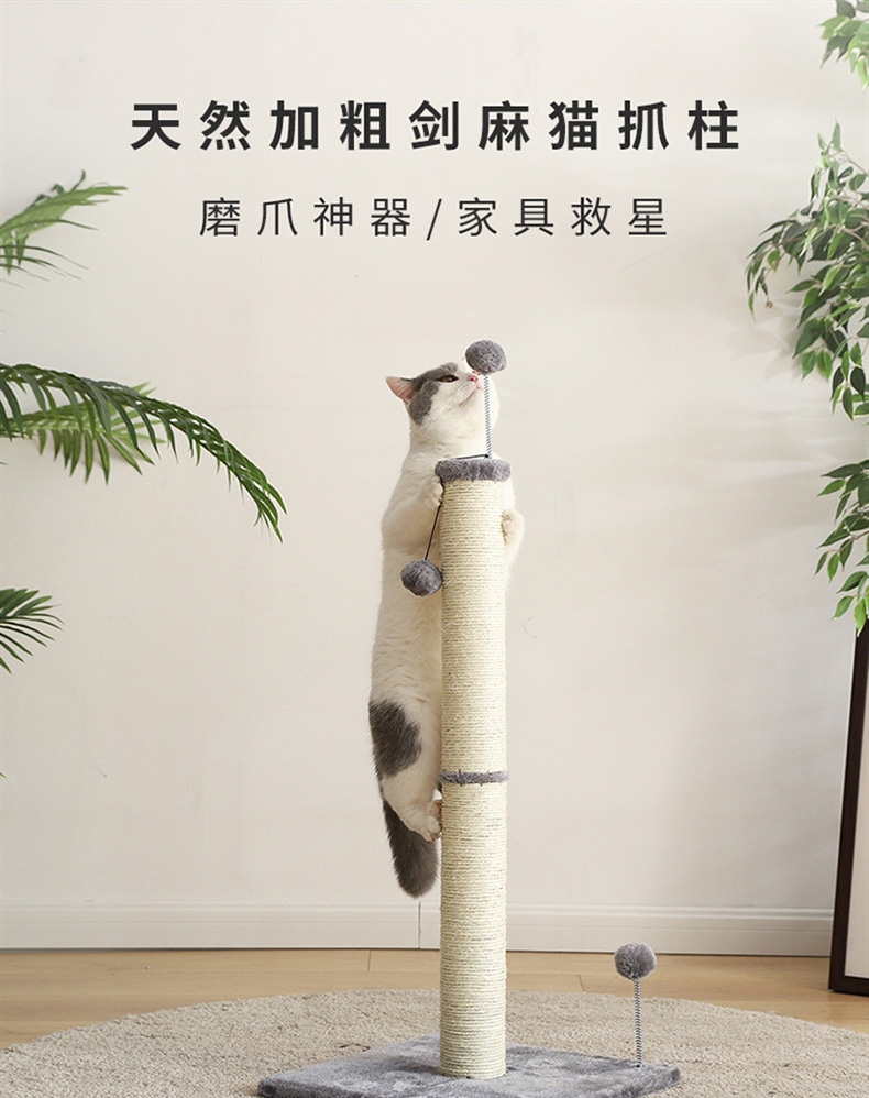 伊丽 剑麻柱猫爬架猫玩具