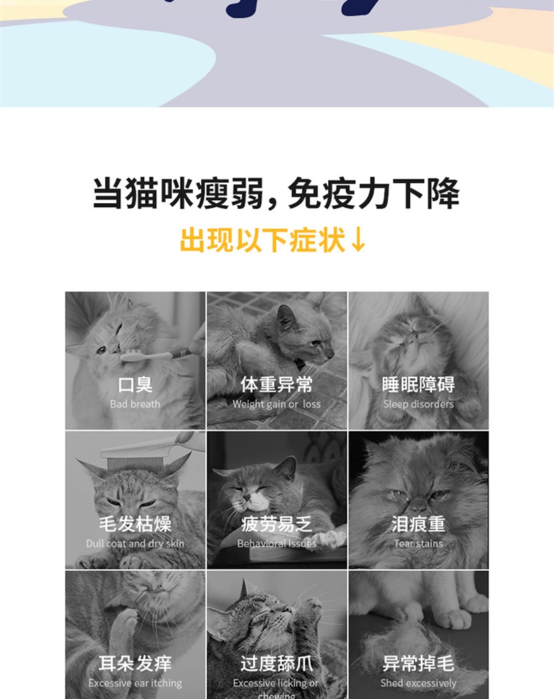 金丽高Solid Gold金装鸡肉蛋粉全猫粮 12磅 42%高蛋白