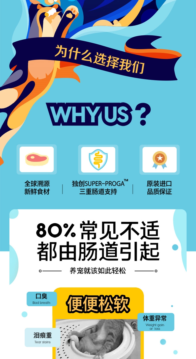 金丽高Solid Gold金装鸡肉蛋粉全猫粮 12磅 42%高蛋白